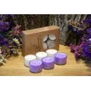 Laureta Candles kristāliskā palmu vaska tējassveces balta, violeta, 6gb